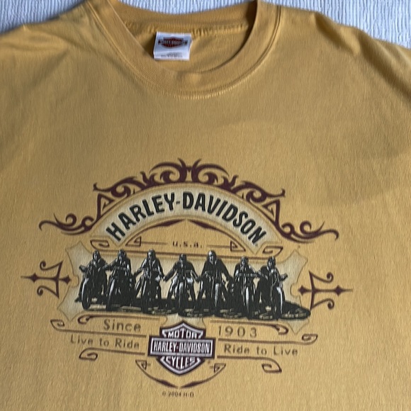 Retro Harley DavidsonNew River Gorge Hico White Water Rafting Biker Tee - Picture 4 of 14